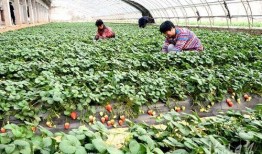 永年产业城吃瓜视频爆料,背后惊人真相曝光